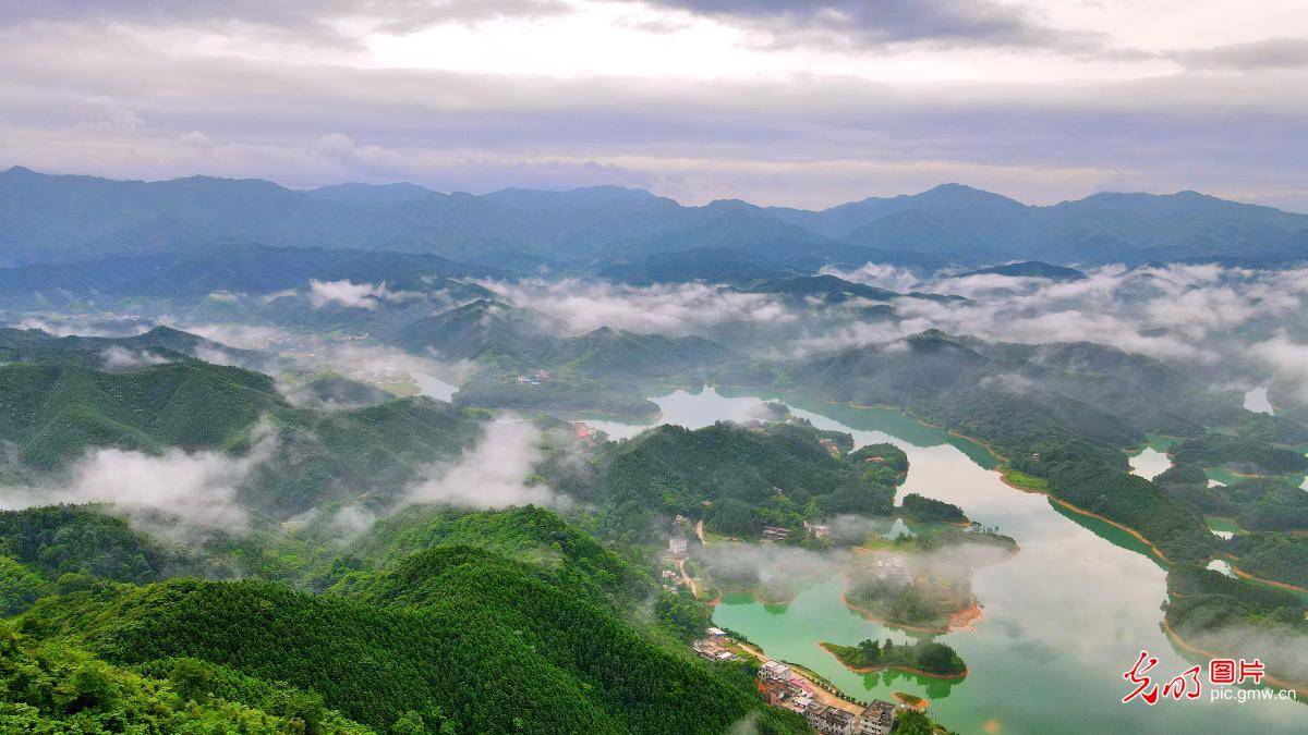 Tianhu|Misty view of the Tianhu National Wetland Park in central China's Hunan