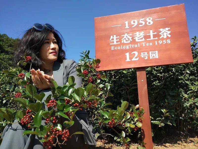 太突然苍南知名女企业家去世