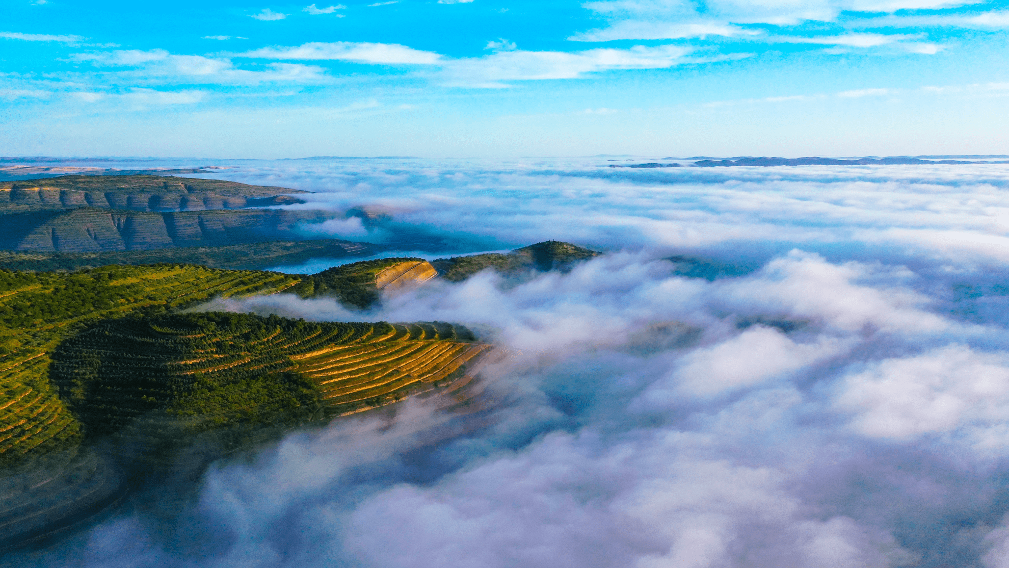 7月3日,宁夏固原市彭阳县数十万亩旱作梯田在曙光中迎来云海景观,不断