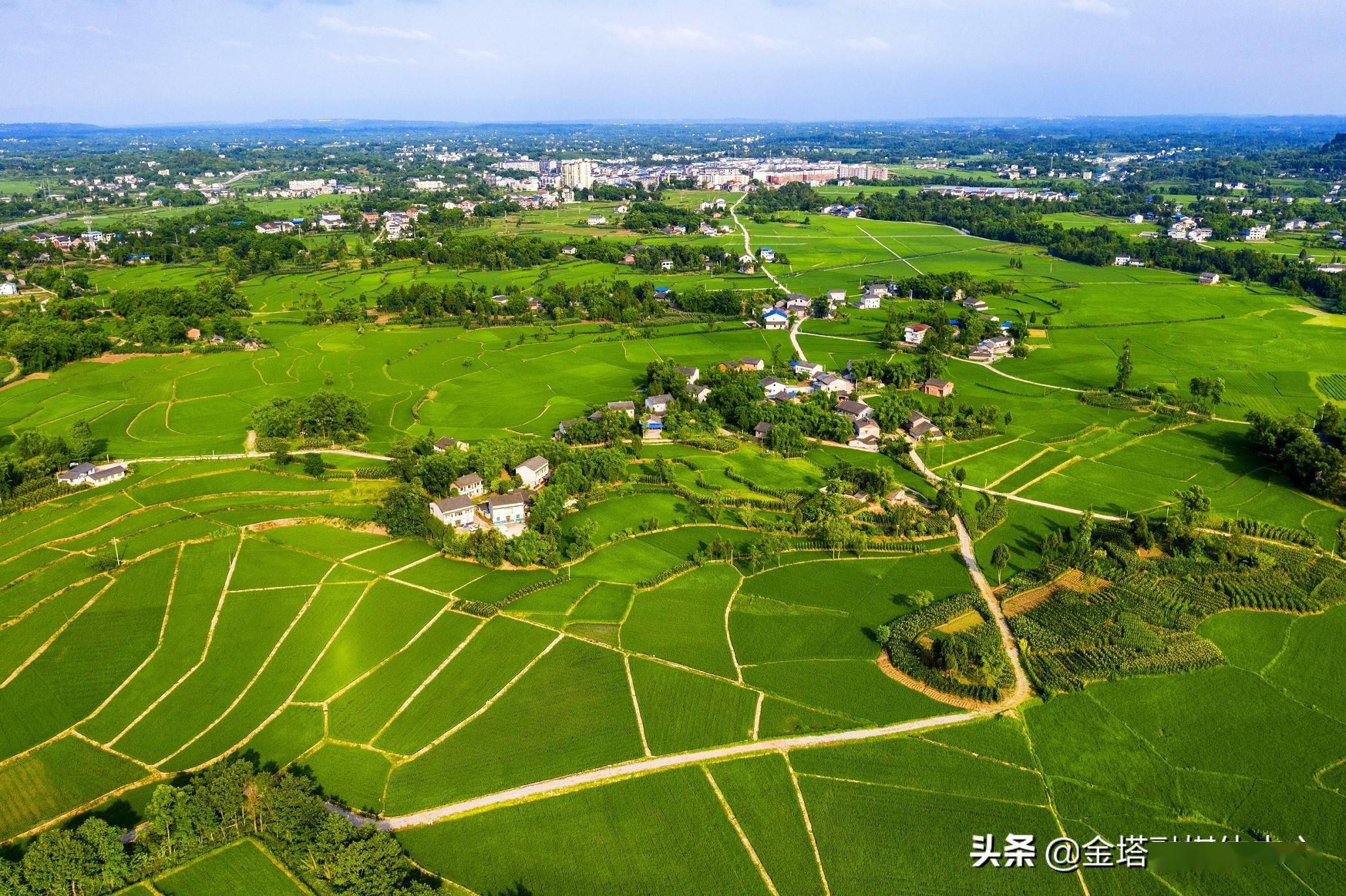 四川广安:绿色田园 美丽乡村_蒲莲