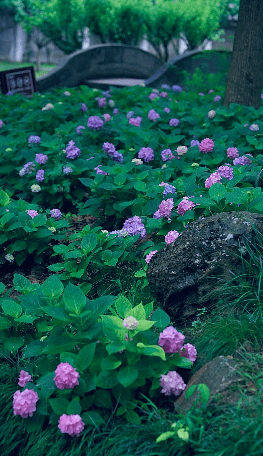 清赏 | 那些关于夏天的雅称,你知道多少?