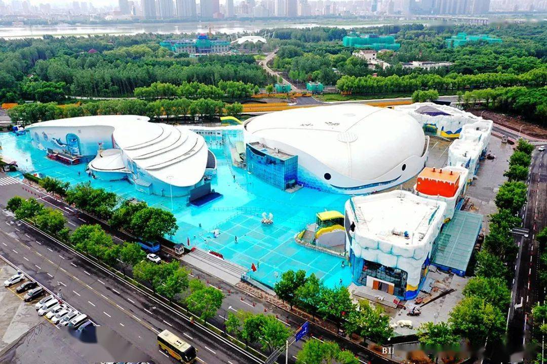 走进哈尔滨极地公园犹如来到了大观园
