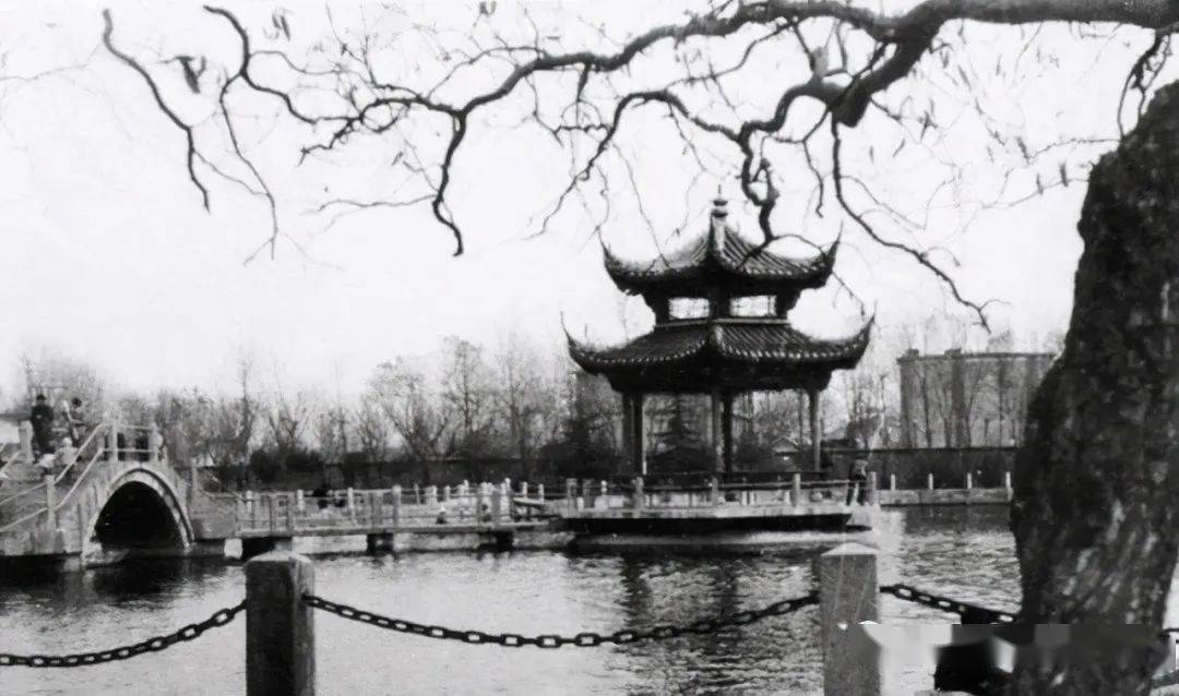 看看这些枣庄老照片,你还能认出这是哪儿吗?_地方