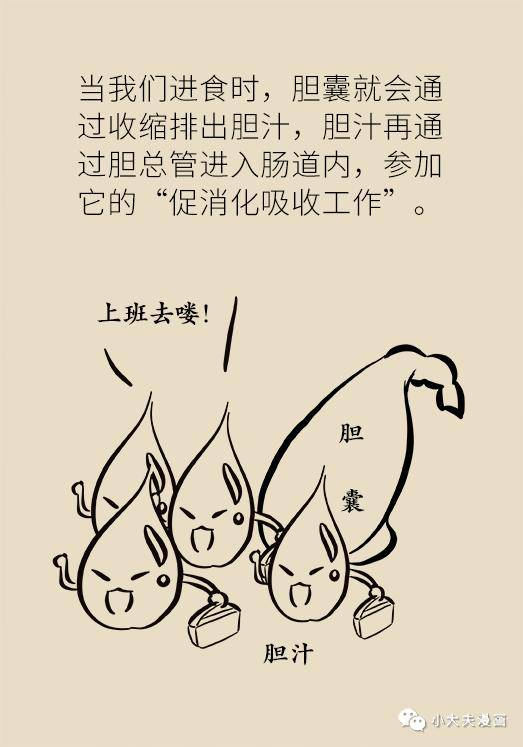 胆汁|不是谣言，长期不吃早饭，真有可能得这种病