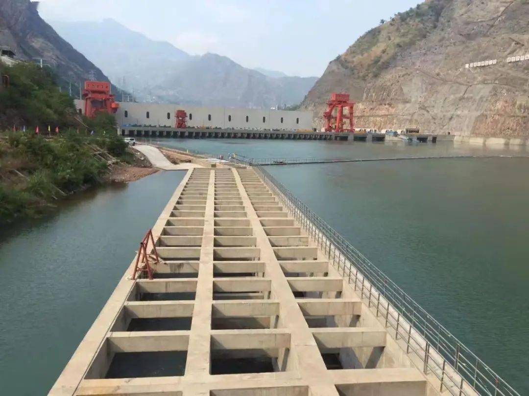 鱼撞大坝的惨剧不再上演长江鱼有了回家专线