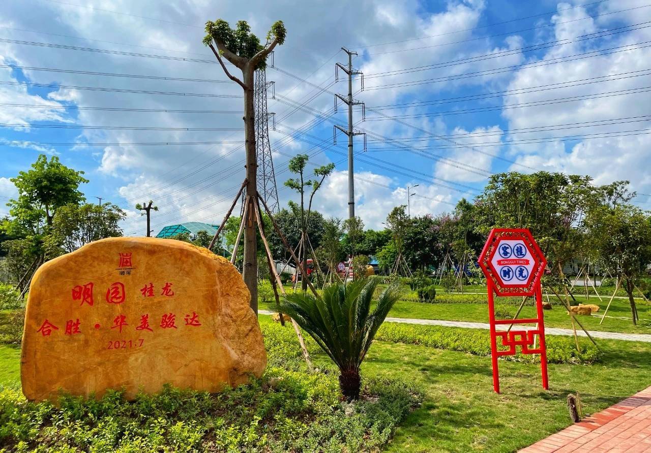 佛山市顺德区容桂街道召开重点工作推进会_项目