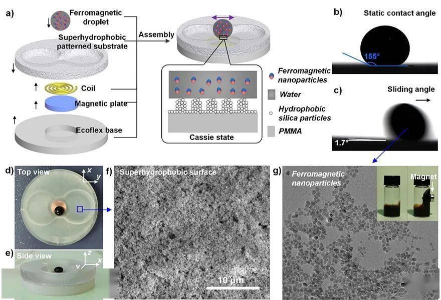 【纳米】acs nano┃超疏水表面上磁流体液滴滚动构筑力-电能量转换