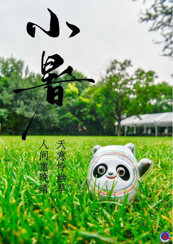 冰墩|冰墩墩打卡二十四节气·小暑