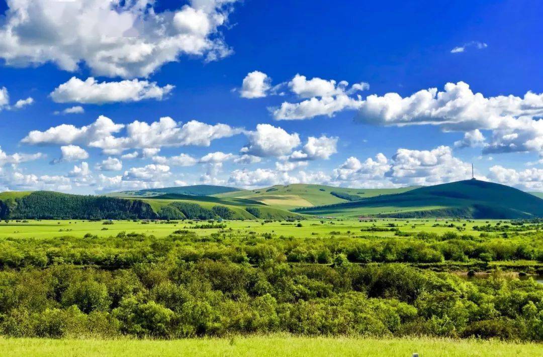 绿草蓝天白云盛夏的呼伦贝尔大草原