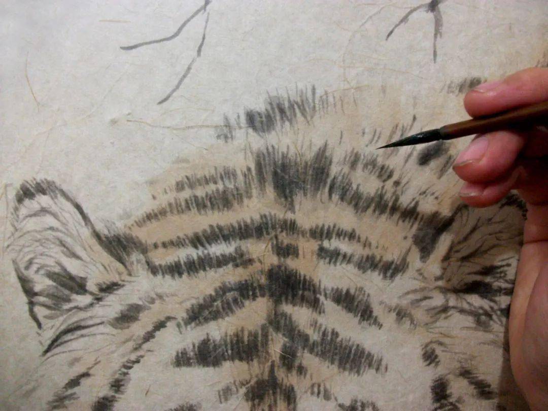 画虎技法图解:《游春图》画法步骤_皮毛