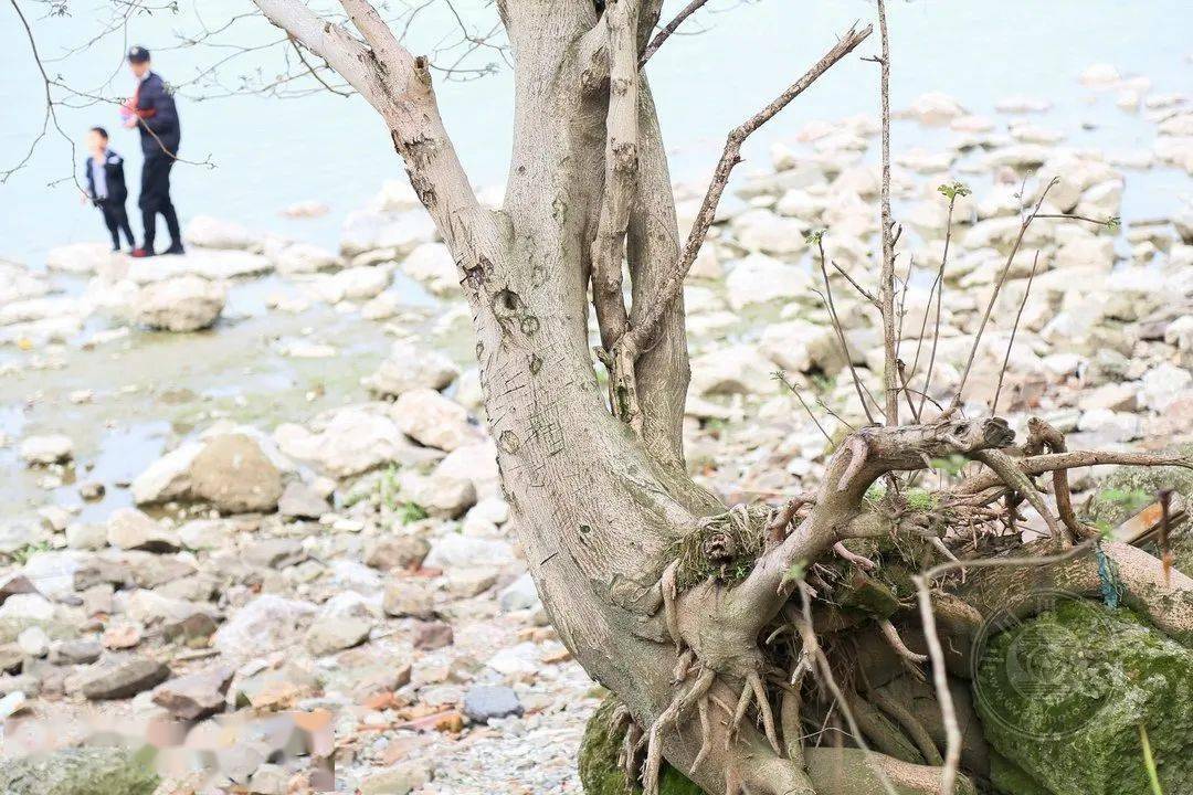 野草|中国摄影网签约摄影师深蓝：多余的地方