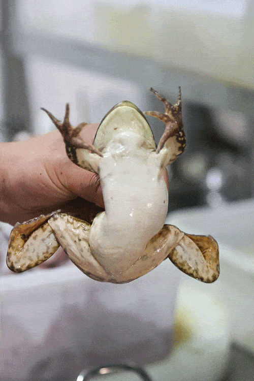 500_750竖版 竖屏gif 动态图 动图