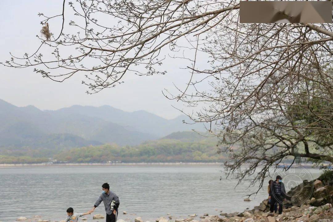 野草|中国摄影网签约摄影师深蓝：多余的地方