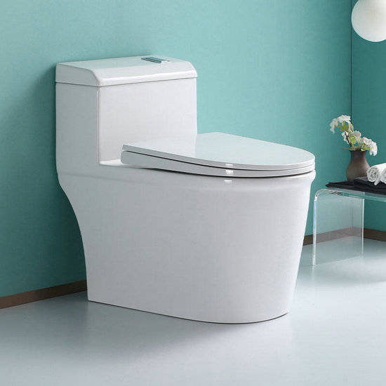 是一种|排宿便等于排毒？其实宿便仅是一种生理现象