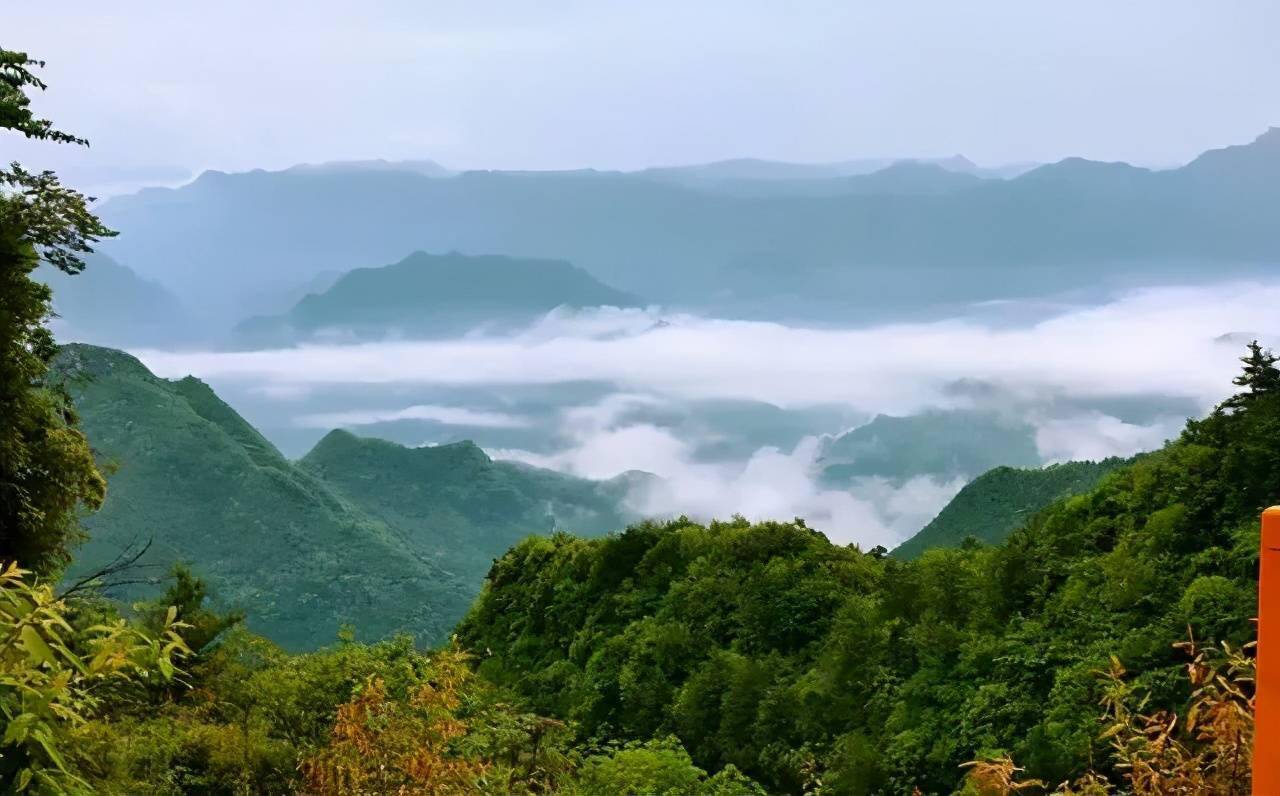 鎮巴縣涇陽鎮田家灣熊貓谷熊貓谷,國家aaaa級旅遊景區,位於佛坪縣城以