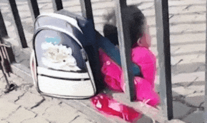 生活|幼儿园的作息时间很安逸?呵呵