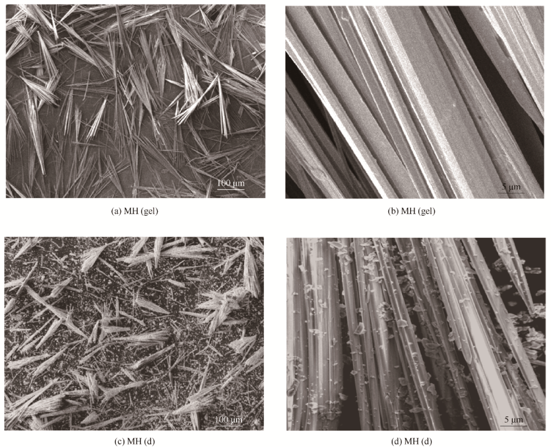 2021年第6期专栏碱式硫酸镁晶须的可控制备及不同离子的影响机制