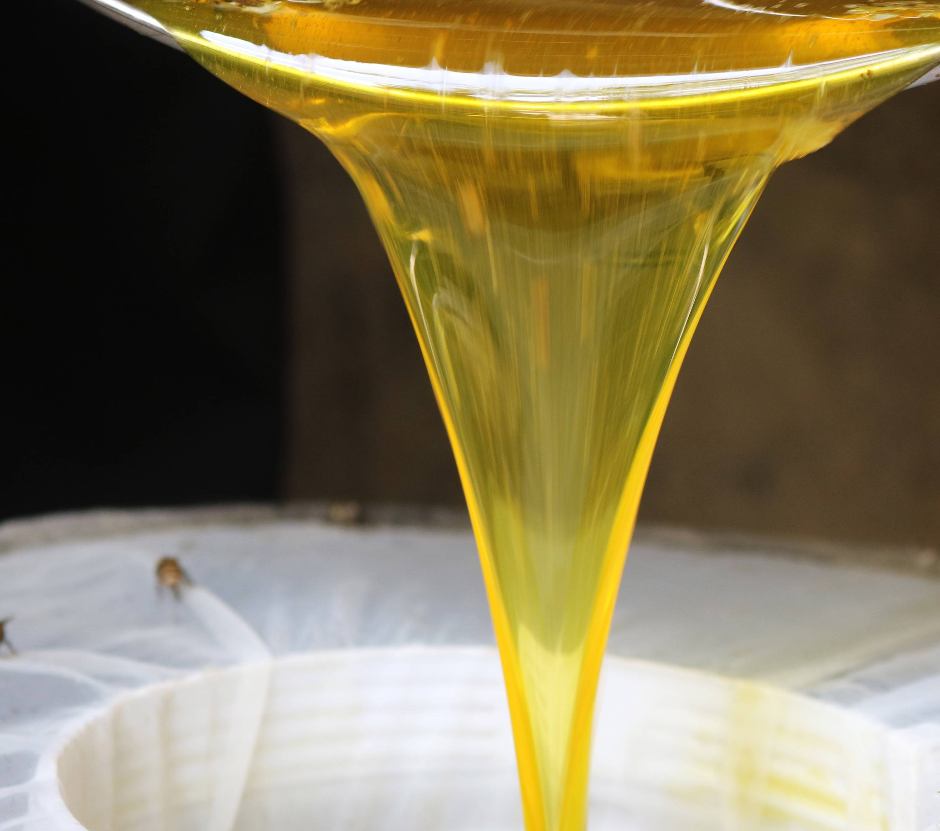 黔西市花溪乡钟山村:优质百花蜜俏销市场 | 走向乡村振兴