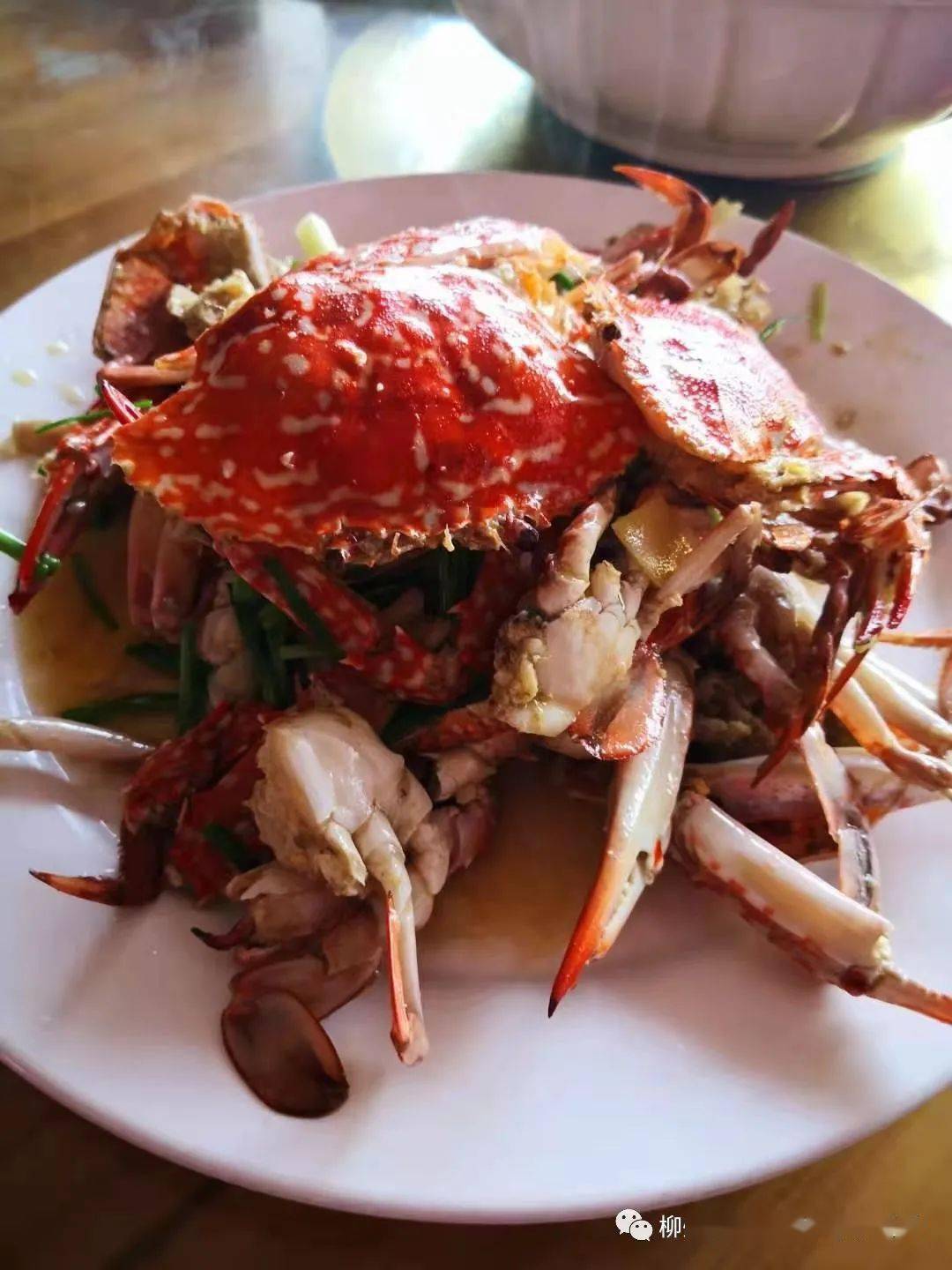 7月1718号到9月底每周末钦州网红犀丽湾三娘湾最美海上公路品海鲜休闲