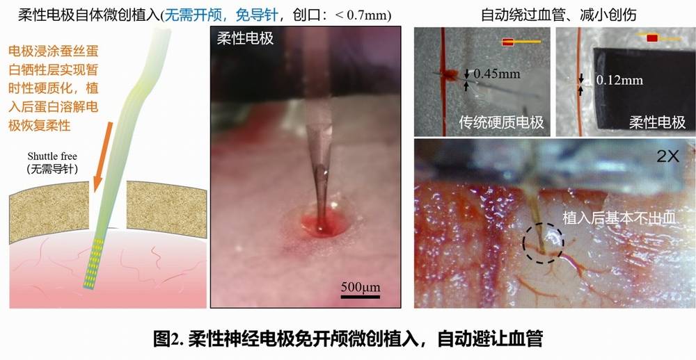 人工智能|世界人工智能大会最高奖项揭晓，这五个项目获奖