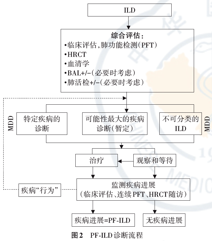 【争鸣】进展性纤维化性间质性肺疾病:新概念与新机遇_诊断