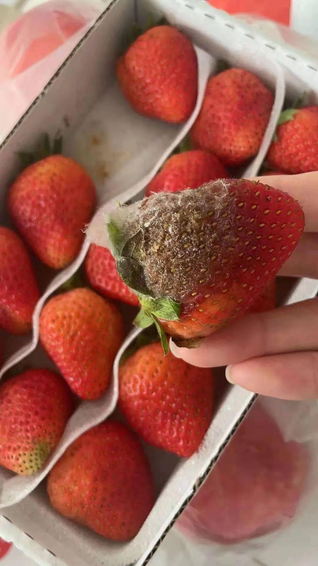 网友爆料郓城叶波大润发超市买的盒装草莓有坏的