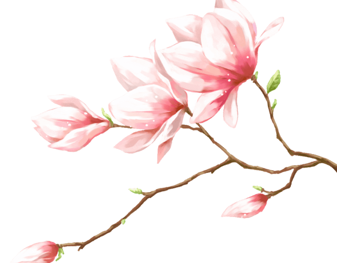 3f393a1b4cc448a18116fee0f9f5b4fc.png
