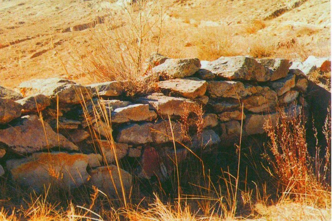 时期,以乌兰察布市凉城县老虎山遗址为代表的遗存,命名为老虎山文化