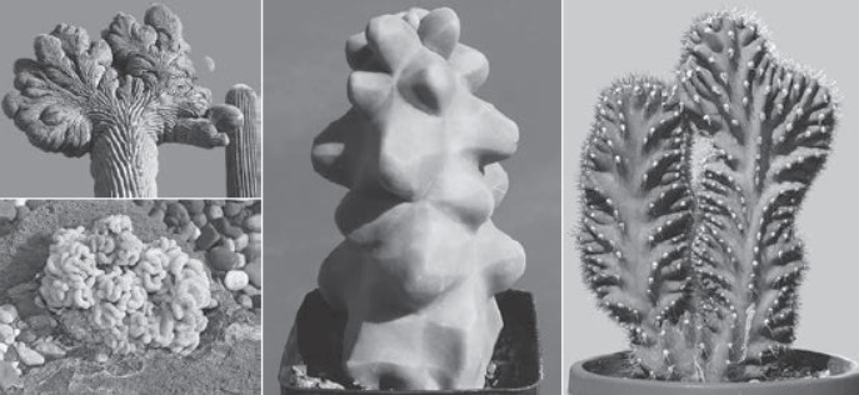 古人类|癌症从何而来，又为何难以治愈？