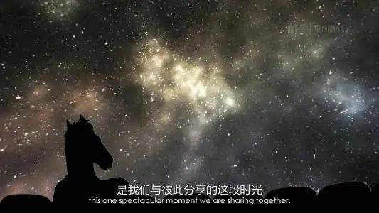 社会|对不起，你的朋友圈伤到我感情了