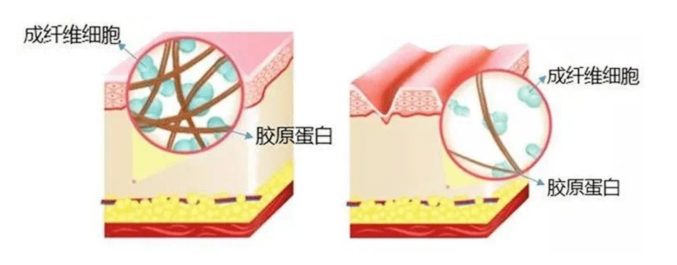 Before|秘籍 | 从滤镜美人到生图惊人，21天，拿捏了