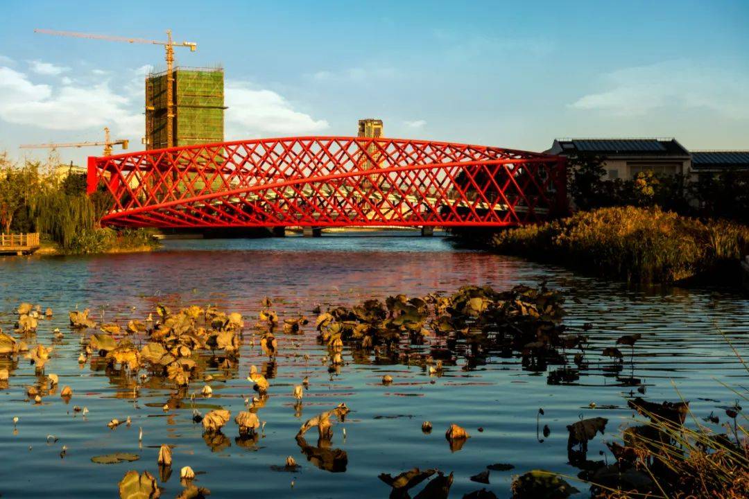 黄渡浜居民区 熊俊 《舞龙桥》莱顿居民区 徐永梅 《莱顿社区的治理