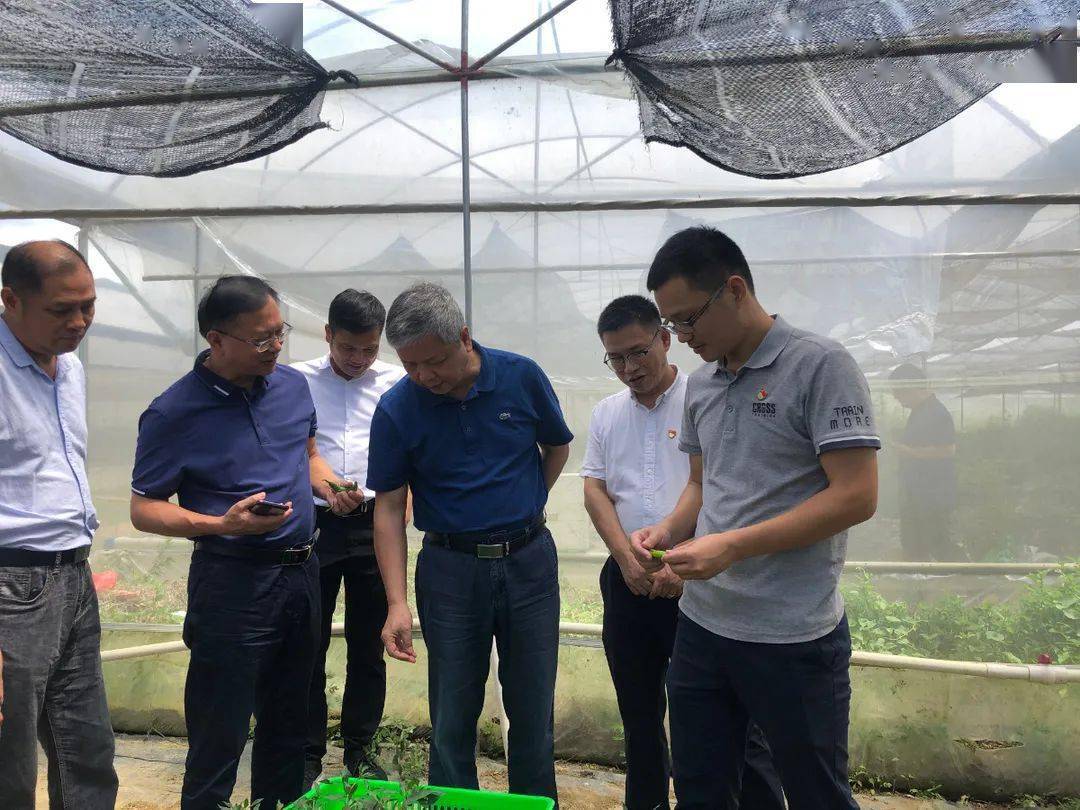 7月6日至9日,调研组先后前往清城区石角镇,源潭镇,阳山县岭背镇,称架