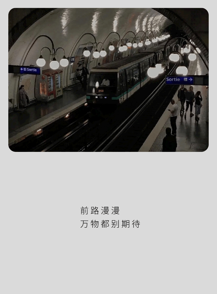 表情包前路漫漫万物都别期待