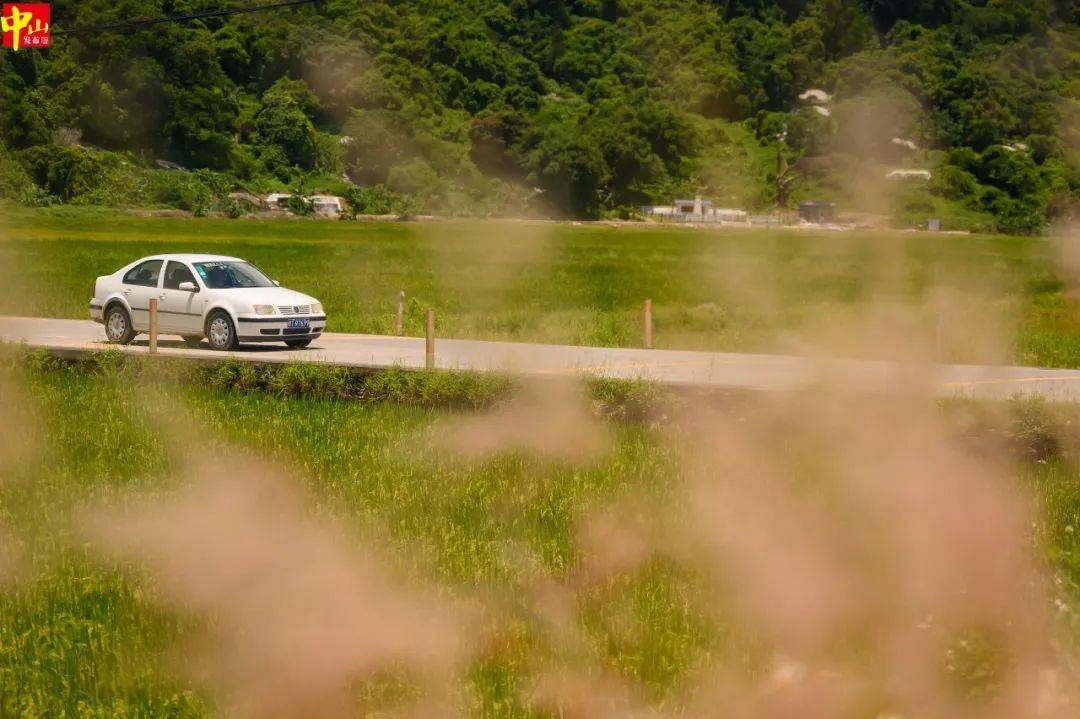 cdc606194e374554a70d23e0ab33bba3.jpeg