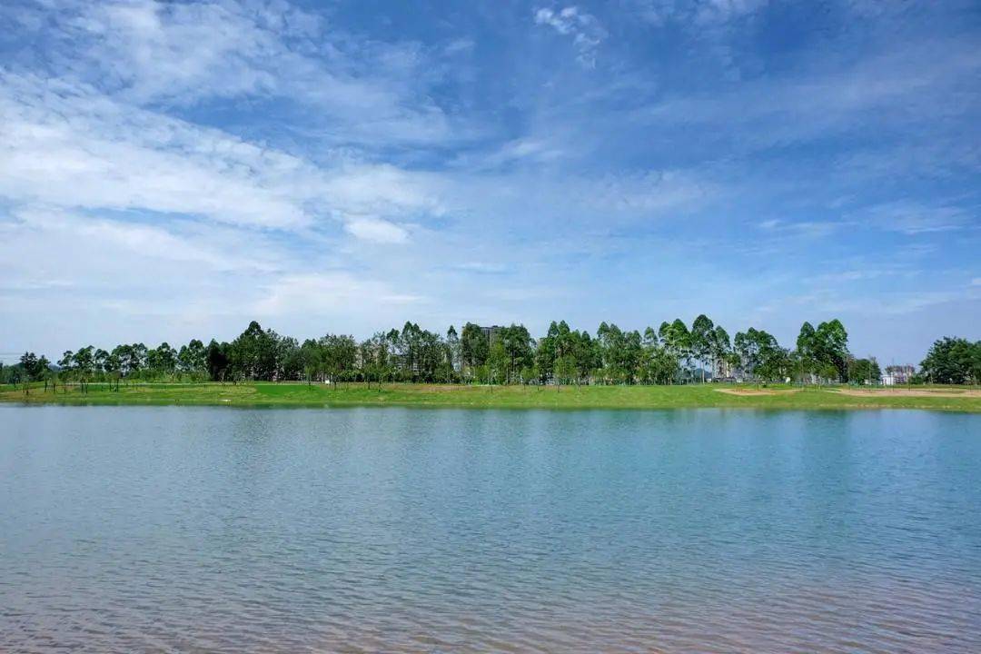 青衣江湿地公园局部开放,洪雅"城市绿心"等你来逛!_步道