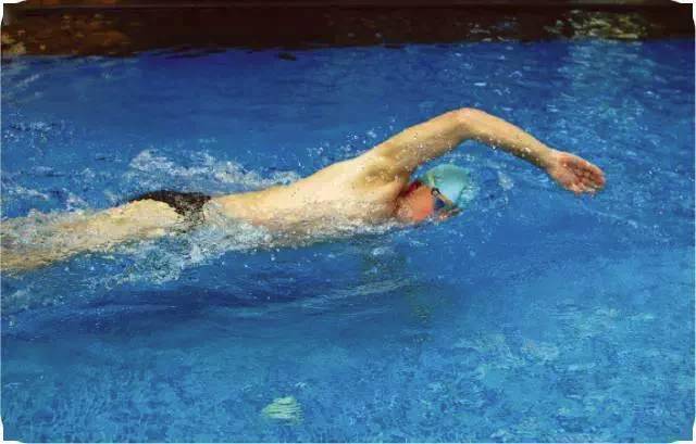 自由泳划臂动作的关键要素下