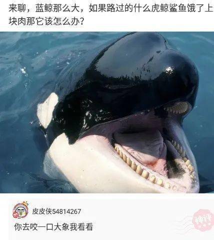 7042c04617d94ef8a16e9a05f7cbb8cf.jpeg
