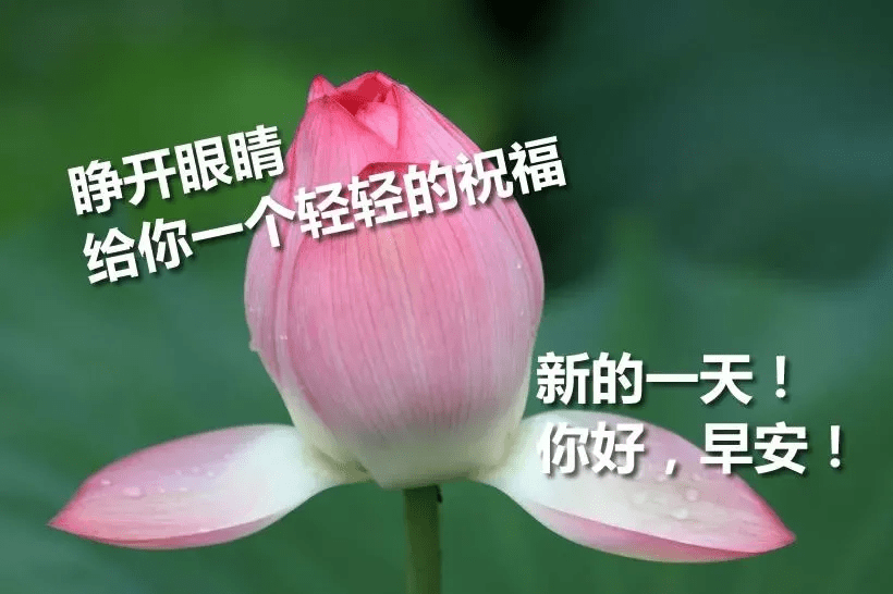 8d9aa964433d4321a53ed7904d190908.png