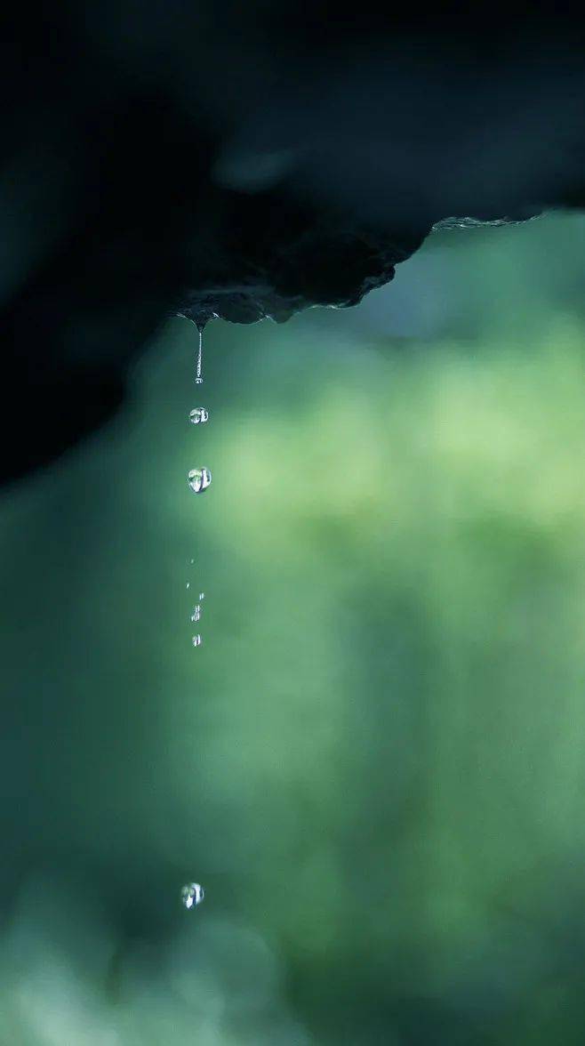 清闲无事静坐听雨