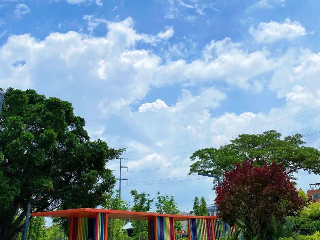 順德的夏天太美了!_順峰山公園