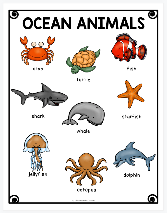 接下来小助手将以海洋生物主题的单词给大家介绍一下资源中包含的活动