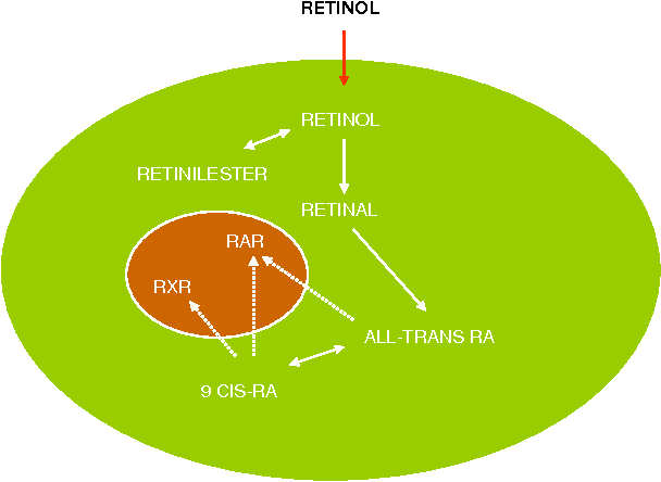 品牌|早C晚A不用A，还有这些可替代！