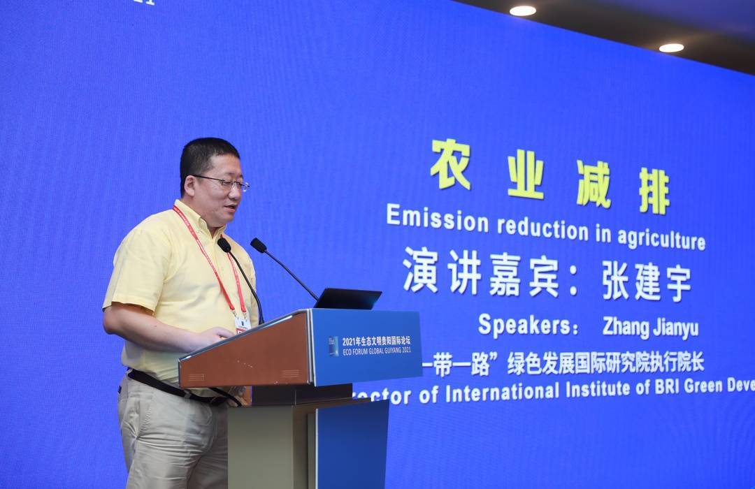 生态论坛专家说①丨张建宇打铁还需自身硬要加强国内碳市场建设