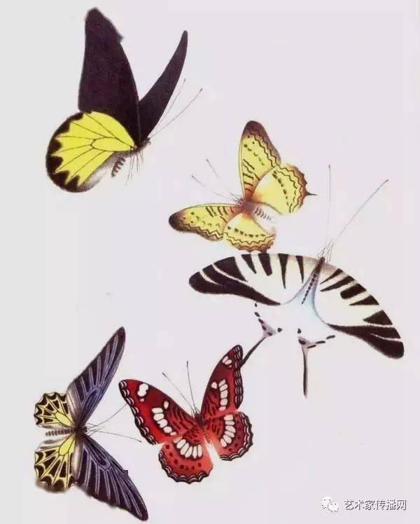 万钟《百蝶图》"中国一绝"没骨工笔蝶画大家