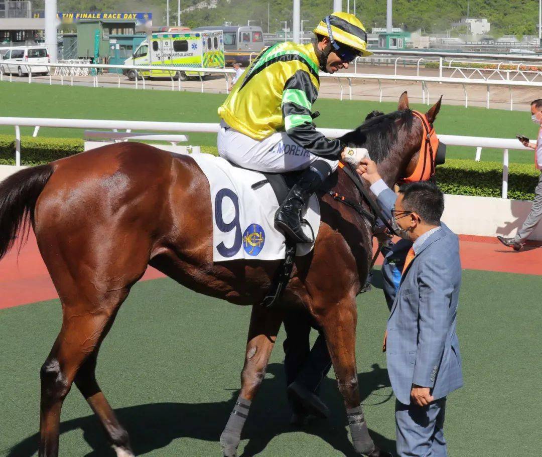 沙田煞科应届冠军骑师莫雷拉火速1100w