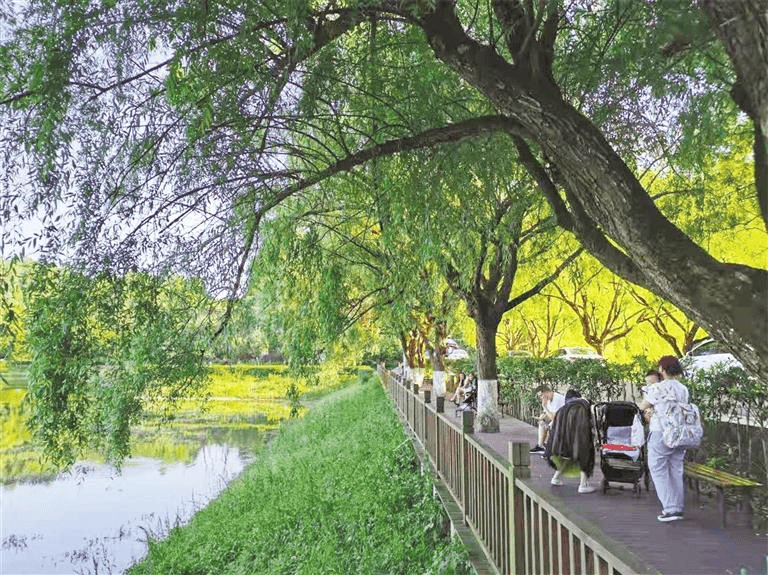 白云：厚植底色 逐绿前行 生态