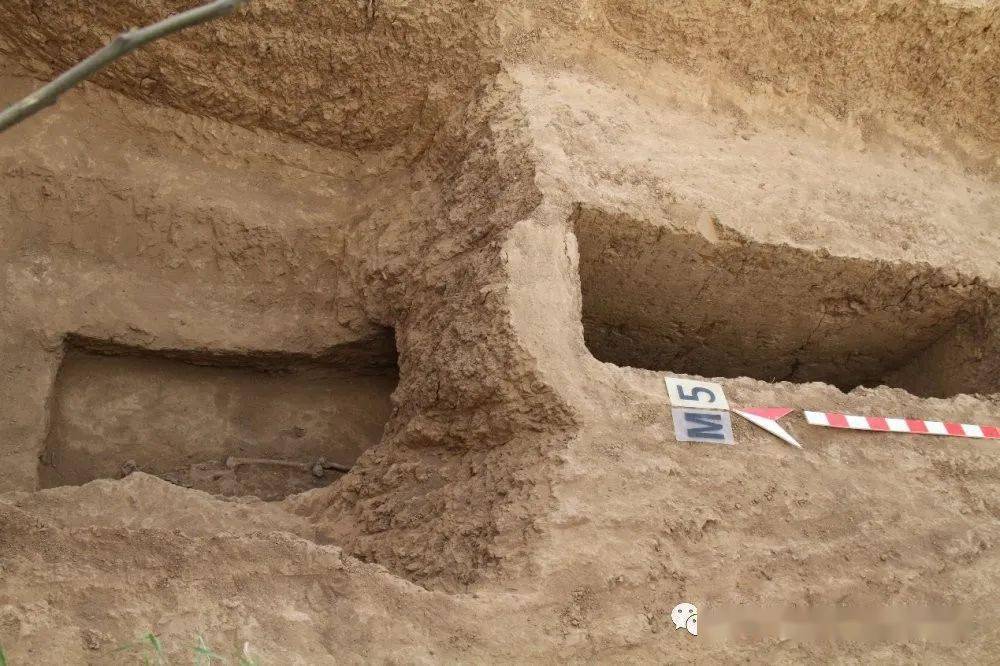 焦作孟州悦龙府项目考古发掘_合葬墓