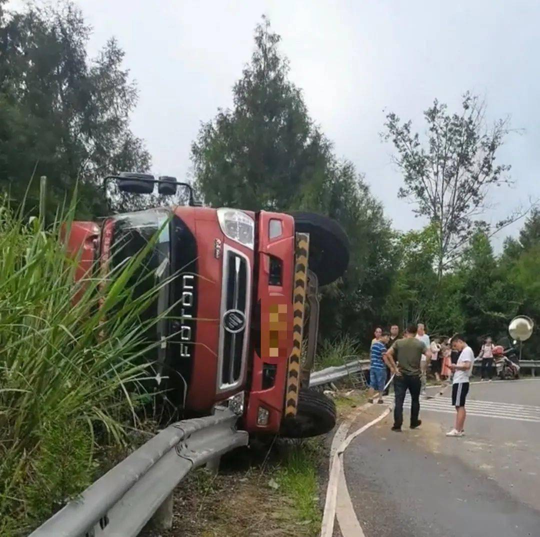 南部这里一辆拉猪的货车翻车了……_事故