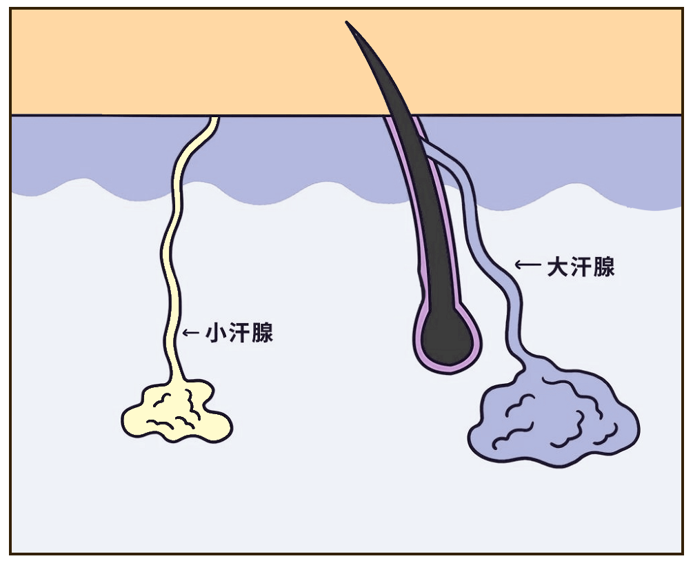 d616c9c9717543809d8c7fe0566ce667.png